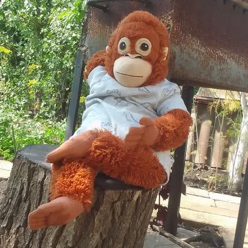 Avatar dễ thương con khỉ dễ thương nụ cười tinh nghịch