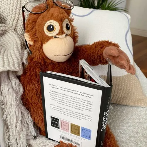 Thiết kế khỉ nhân vật hóa sáng tạo dễ ghi nhớ