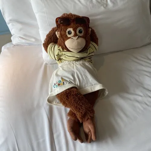 Avatar dễ thương khỉ hoạt hình đôi mắt to cuốn hút