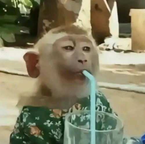 Thiết kế con khỉ đường viền rõ ràng dễ nhận diện