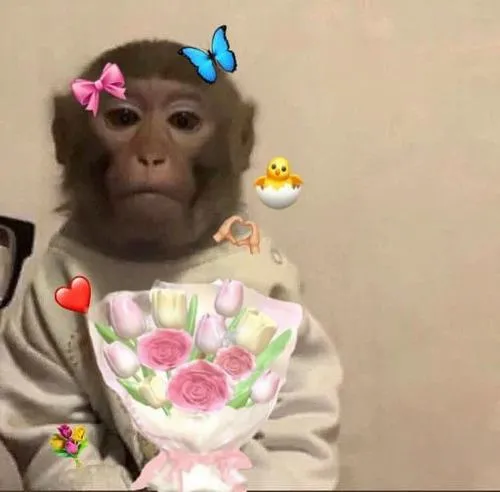 Thiết kế con khỉ phong cách hài hước mang vui vẻ