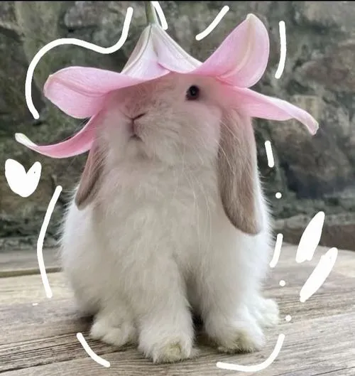 Chi tiết vừa đủ giúp con thỏ giữ được vẻ mềm mại