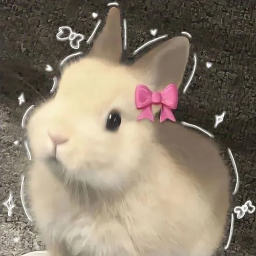 Hình profile thỏ má hồng và miệng cười nhẹ rất thân thiện