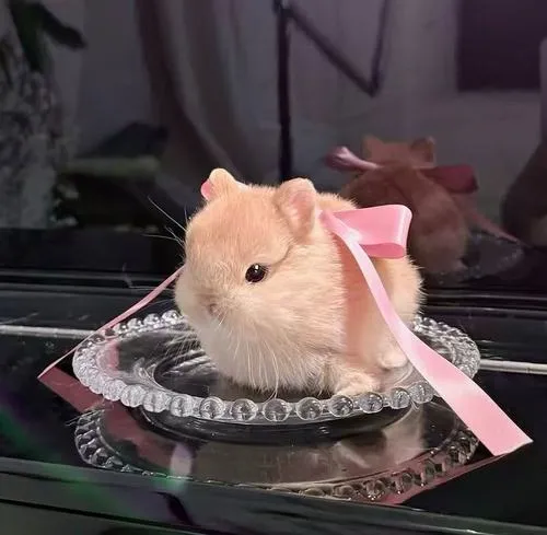 Nét bo tròn trong phong cách kawaii làm tổng thể dễ thương hơn