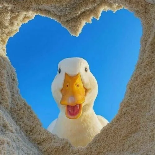 Avatar vịt hoạt hình mang biểu cảm ảnh hưởng cảm xúc