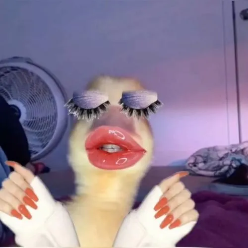 Vịt vàng ánh sắc trong trẻo đầy đáng yêu