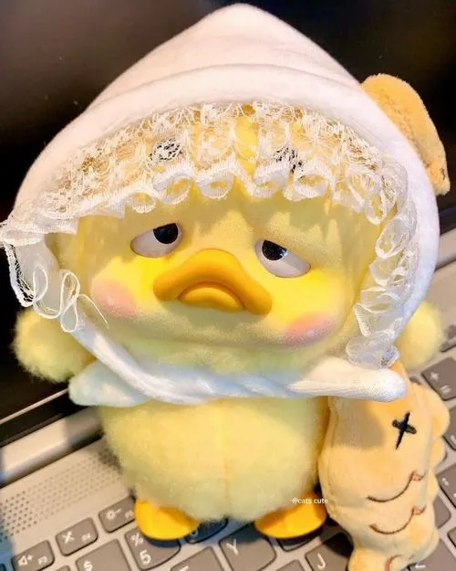 Vịt mũm mĩm minh họa mềm mại đầy thân thiện