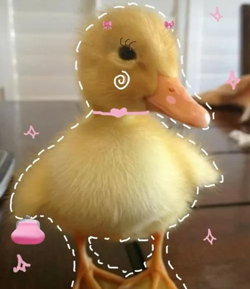 Vịt chibi màu sắc vui vẻ dễ nhận diện