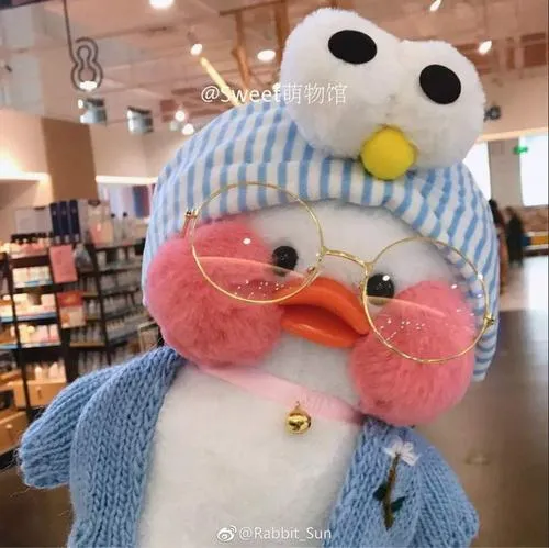 Vịt béo ánh nhìn hiền tạo thân thiện