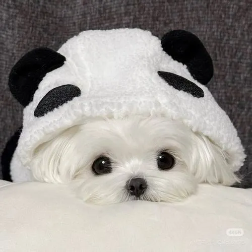 Biểu cảm gương mặt quyết định cảm xúc tổng thể ảnh chữa lành