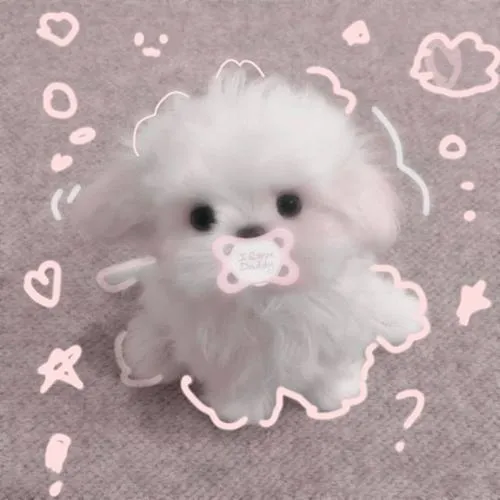 Bố cục khung hình gọn giúp cún con nổi bật