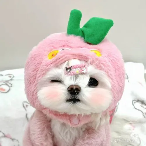 Biểu cảm quyết định cảm giác dễ thương tổng thể