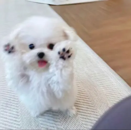 Ánh sáng mềm giữ vibe chữa lành tự nhiên