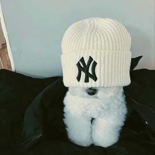 Bố cục tối giản làm ánh mắt thêm nổi bật