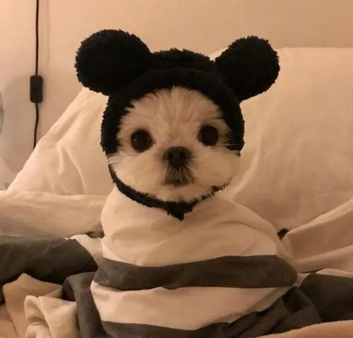 Góc chụp thấp làm đôi mắt to thêm long lanh