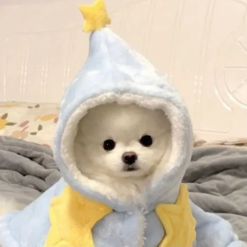 Gương mặt tròn và ánh mắt tạo cảm xúc ấm