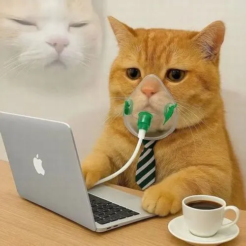 Ảnh hiển thị chó cười nhe răng với viền ảnh dày