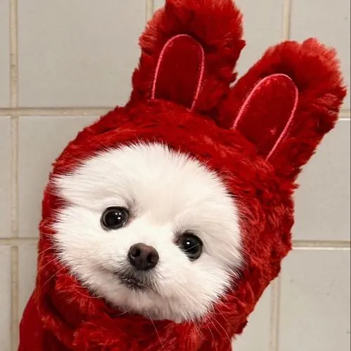 Hình đại diện cute chèn ký tự lặp tạo chọc cười