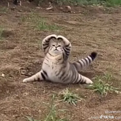 Nền tối giản để nổi mặt bố cục gọn