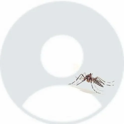 Khoảng trống và nền ảnh tạo thái độ riêng biệt