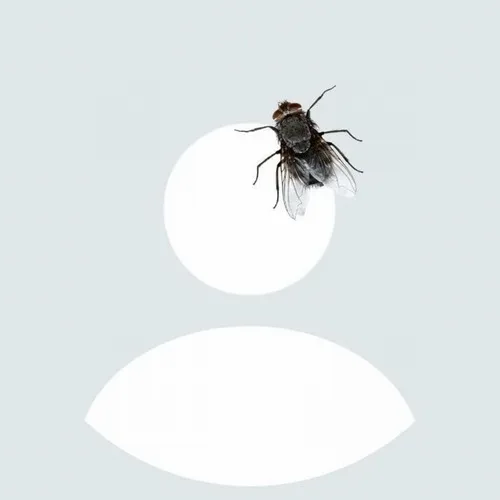 Tải free 80 Ảnh Avatar Mặc Định Ngầu độc đáo khác biệt đảm bảo không đụng hàng