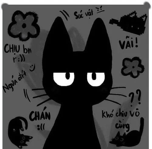 Ảnh trang cá nhân phong cách nghệ thuật tối giản tông đen