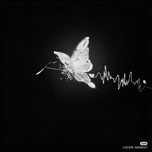 Ánh sáng yếu tạo bóng tối làm nổi chủ thể ảnh đại diện