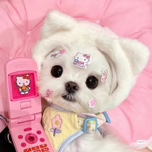 Sắc hồng nhẹ giúp giảm cảm giác căng thẳng cho cô nàng