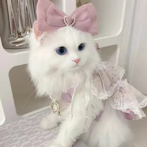 Thú bông trang trí tăng sự dễ thương nền sáng