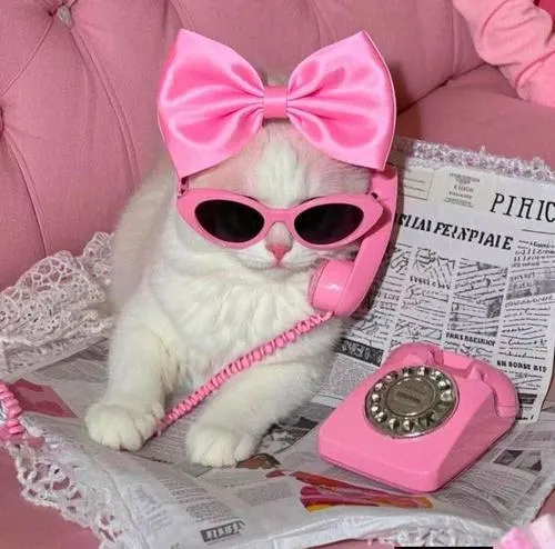 Phong cách kawaii với màu hồng nhạt tạo thiện cảm thị giác cho cô nàng