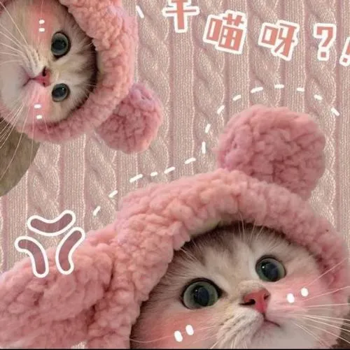 Ảnh đại diện mèo màu hồng cute dành cho những ai thích sự ngọt ngào