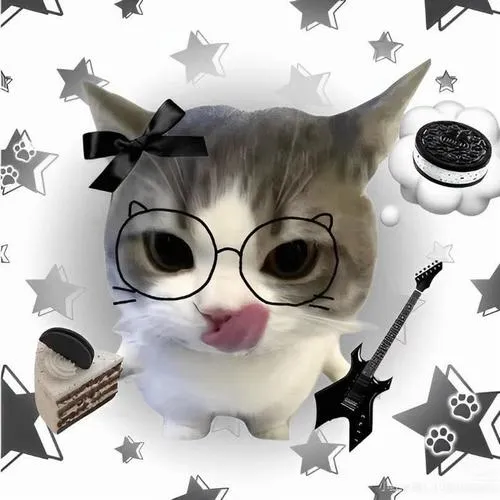 Avatar mèo mang biểu cảm đời thường nhưng cuốn lạ