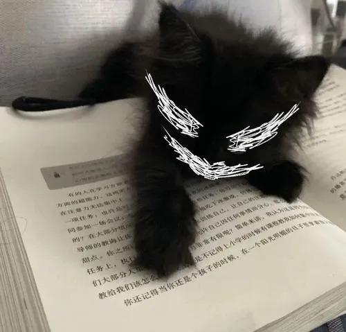 Phong cách nghệ thuật mèo nhà giàu sinh động và ấm áp