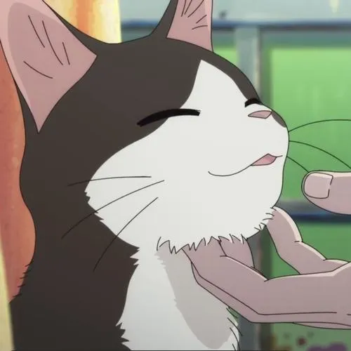 Tổng hợp ảnh đại diện mèo anime phong cách Nhật với nét vẽ mềm