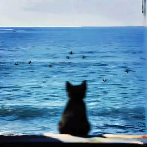 Avatar mèo buồn giúp trang cá nhân trầm hơn mà không nặng nề