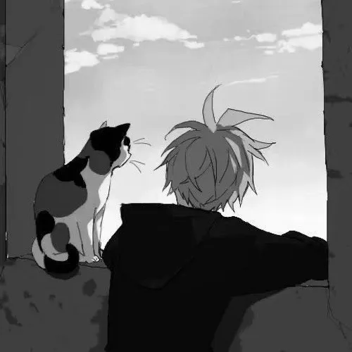 Avatar mèo buồn mang nét cô đơn rất riêng, không cần giải thích