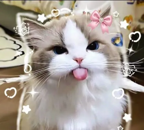 Phong cách hoạt hình khiến nhân vật hoạt hình trông mềm mại