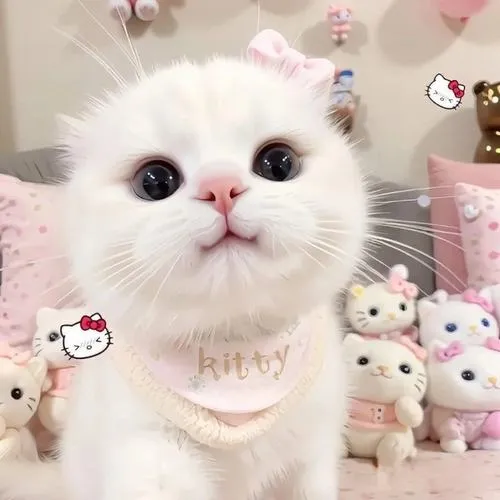 Ánh mắt tạo điểm nhấn làm ảnh thêm trẻ trung