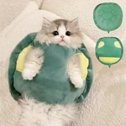 Bố cục cận mặt tôn mắt long lanh rõ nét