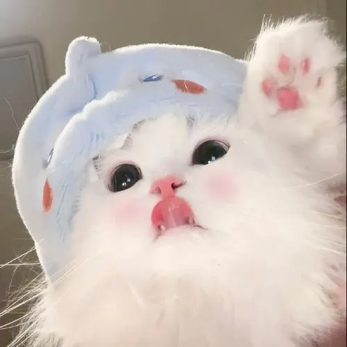 Phong cách chibi cùng màu pastel mang vibe chữa lành dịu nhẹ