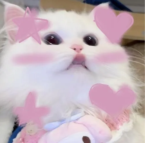 Bố cục trung tâm làm đôi mắt tròn thêm trong veo