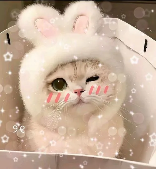 Tỷ lệ khung vuông giúp chủ thể mèo con gọn gàng