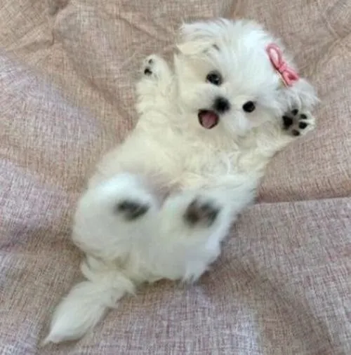 Bố cục hình ảnh tư thế ngồi gọn ảnh hưởng tổng thể nịnh mắt