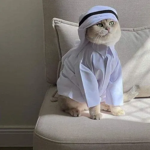 Cảm hứng hình ảnh biểu cảm dễ thương khiến người xem dễ mến