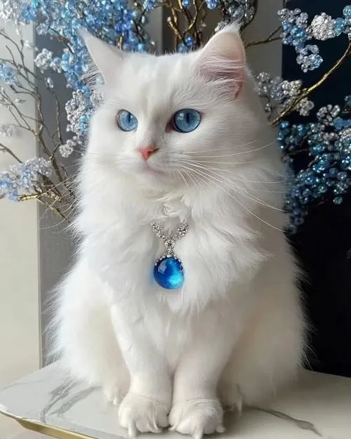 Hình ảnh nghệ thuật dáng nằm cuộn tạo cảm giác ngọt ngào