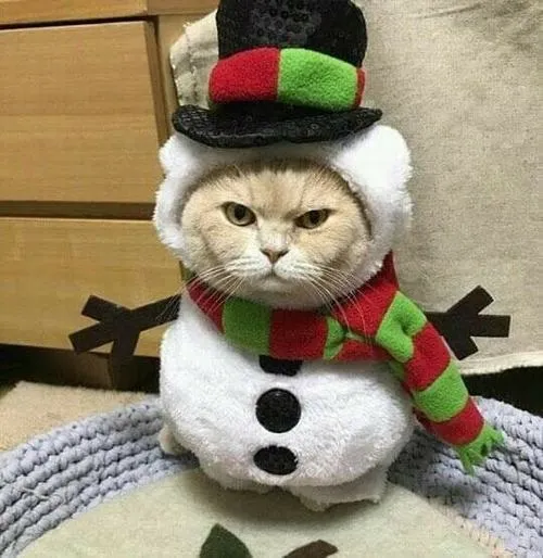 Sự gần gũi toát lên từ biểu cảm dễ thương