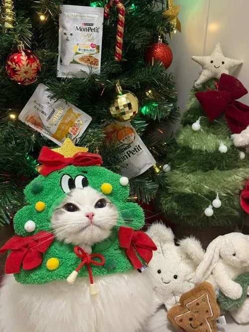 Hình đại diện cute bé mèo trong trang phục lễ hội tạo cảm giác ấm áp