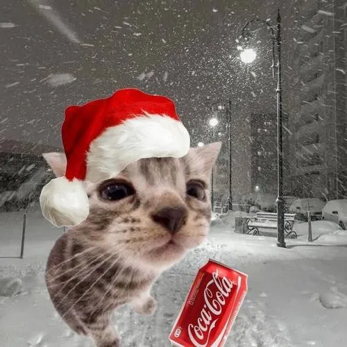 Khoảnh khắc ấm áp của thú cưng cạnh hộp quà giấy