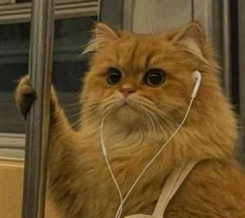 Ảnh đại diện tập trung miệng há mang cảm giác tếu táo