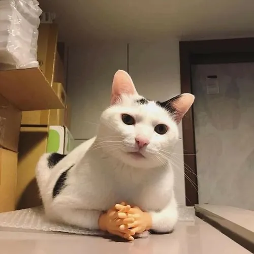 Ảnh profile nhấn gương mặt dìm hàng đầy khó đỡ